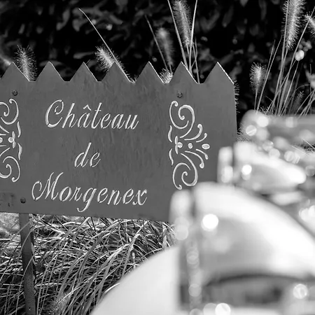 Chateau De Morgenex Bed and breakfast *